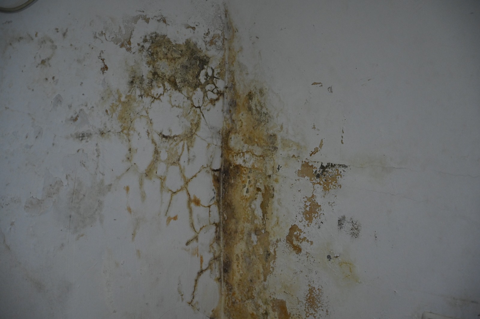 sanqwjhreqhr (6).jpeg